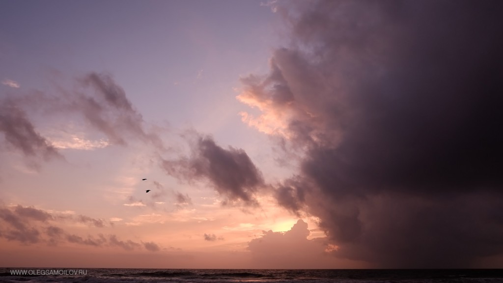 фотографии путешествующего фотографа со ШриЛанки острова в Индийском океане - фотограф Олег Самойлова